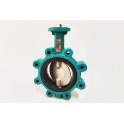 Convalve lug tipi kelebek vana