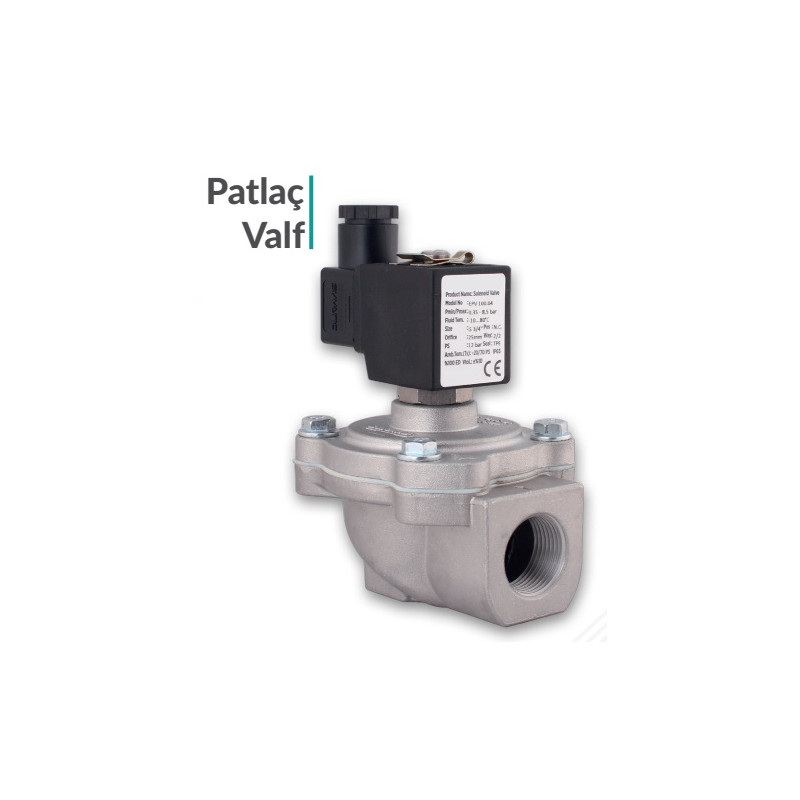 copy of Filtreli Solenoid Valf